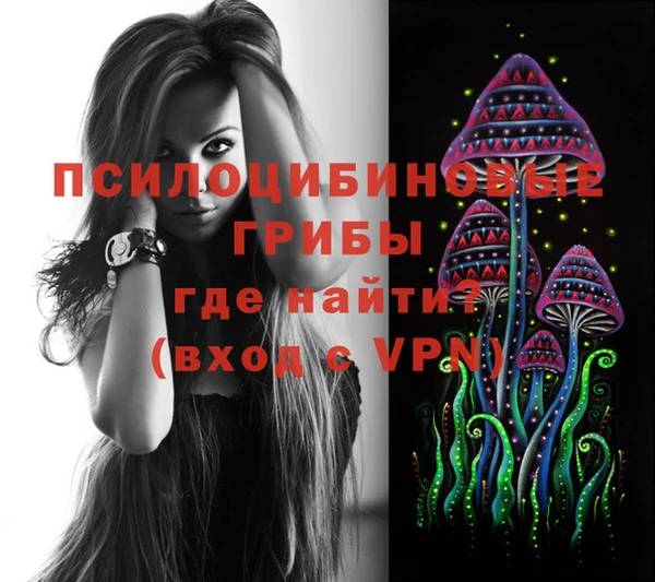 соль ск Богданович