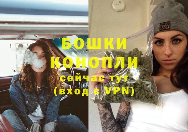 дмт Богородицк
