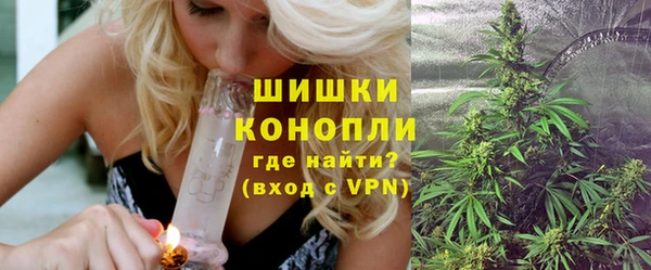 дмт Богородицк