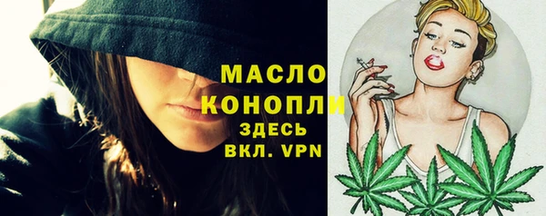 дмт Богородицк