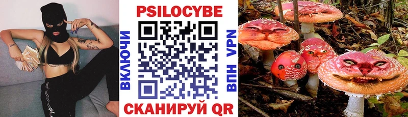 omg ссылки  где можно купить   Сердобск  Псилоцибиновые грибы мухоморы 